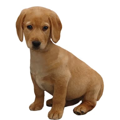 キャバドール【セット検査】