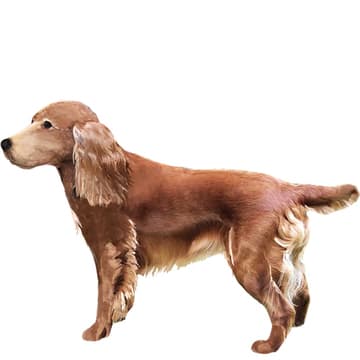 スパナットリバー【セット検査】