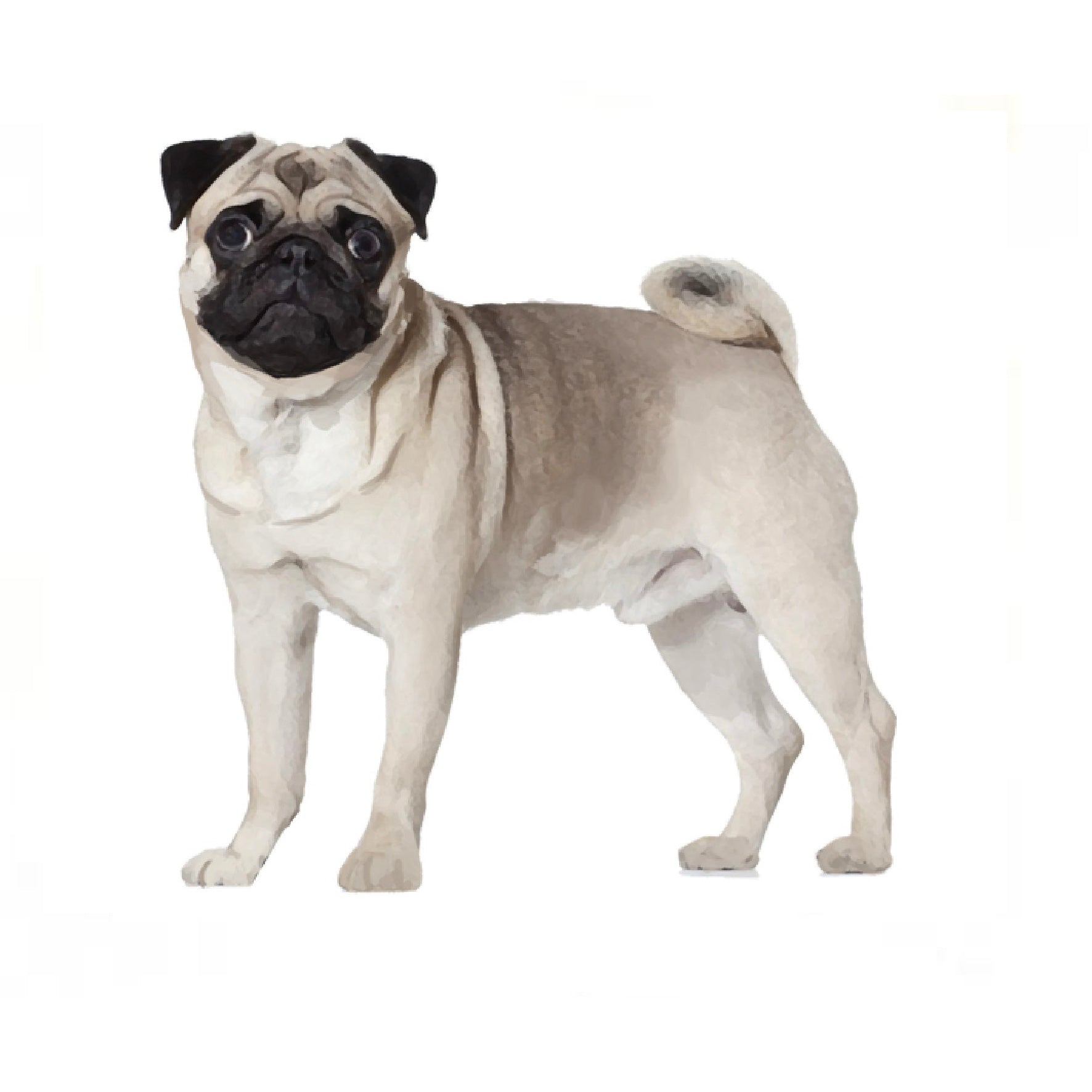 559e63094c55d3ffea7f149bea2f1f