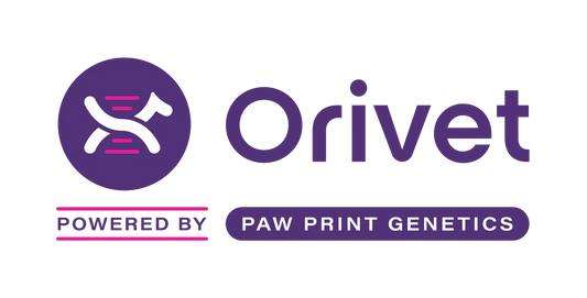 価格改定のお知らせ