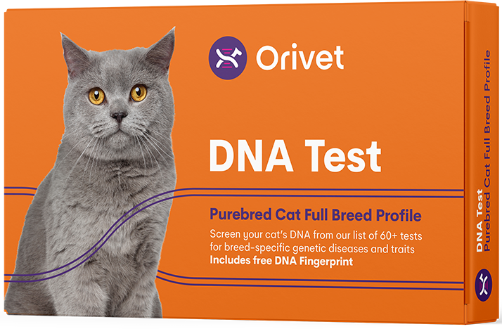 セット検査(cat) – Orivet Japan