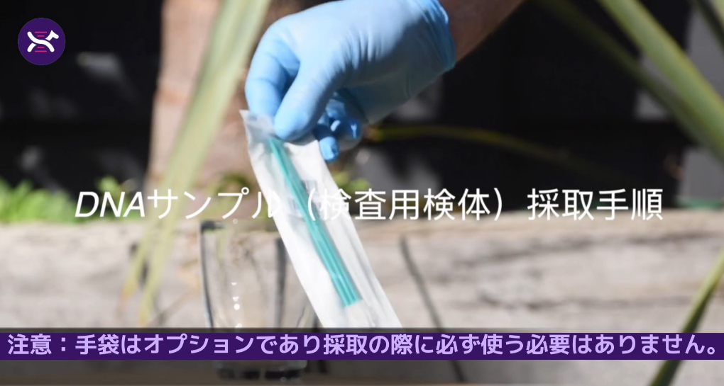 動画を読み込む: 