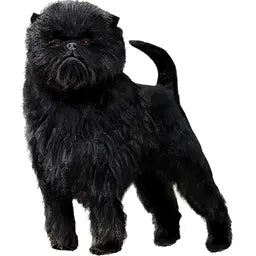 【単検査】アーフェンピンシャー