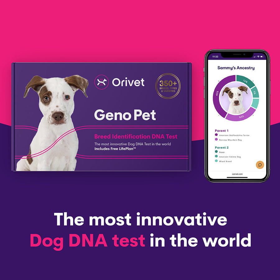 #1.Geno Pet Dog Breed Identification DNA test