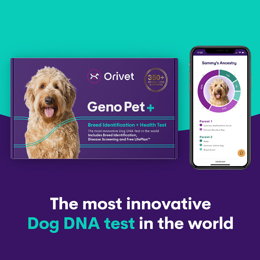 #2.Geno Pet+  (Breed Identification & Health Kit)