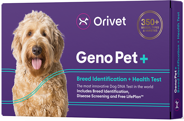 #2.Geno Pet+  (Breed Identification & Health Kit)