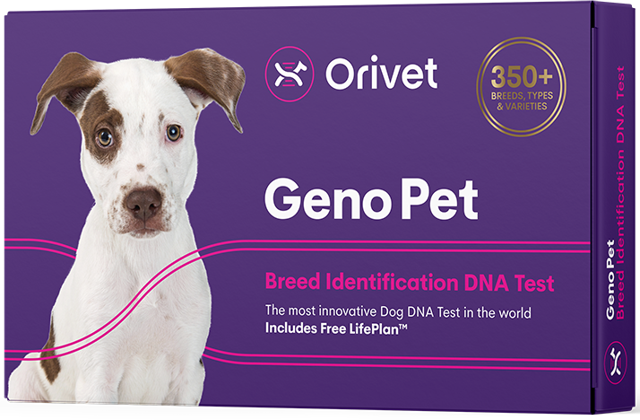 #1.Geno Pet Dog Breed Identification DNA test