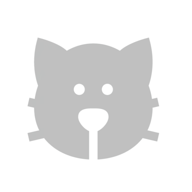 雑種猫／ミックス猫【単検査】