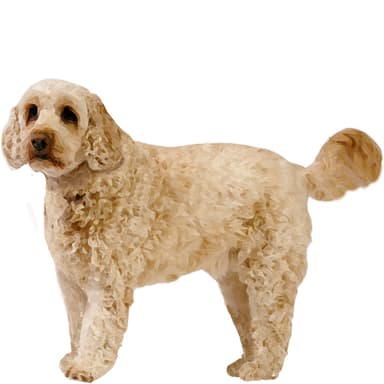 スプードル【セット検査】