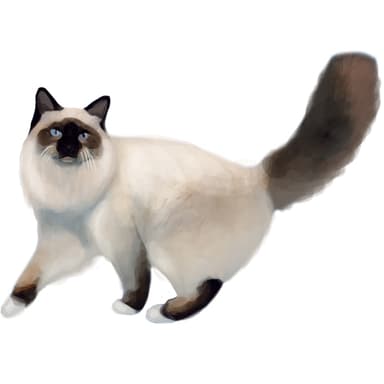 バーマン【セット検査】