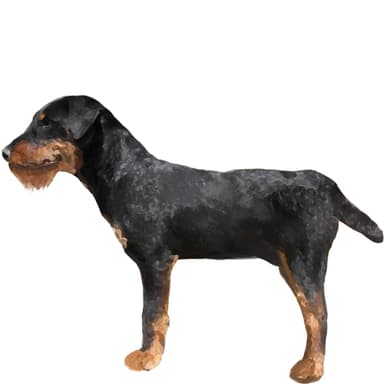 ヤークト・テリア／ジャーマン・ハンティング・テリア【セット検査】