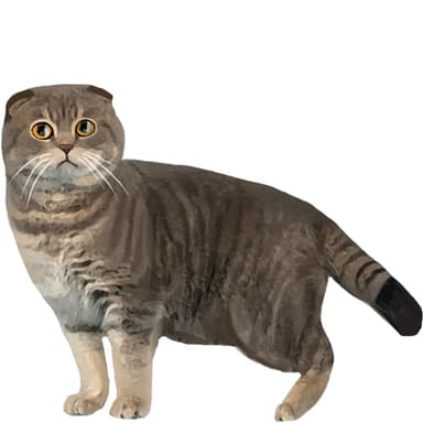 ハイランダー【セット検査】