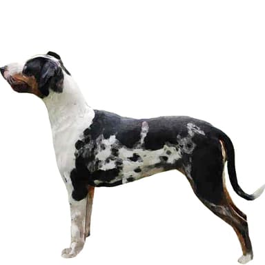 カタフーラ【セット検査】