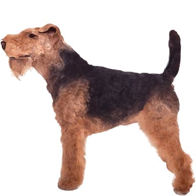 レイクランドテリア【セット検査】