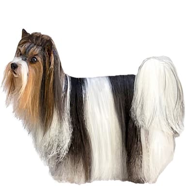 ビューワーテリア【セット検査】