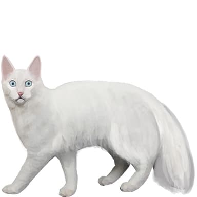 オホースアズーレス【セット検査】