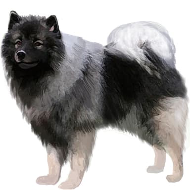 キースホンド【セット検査】