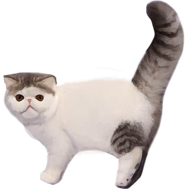 エキゾチック【単検査】