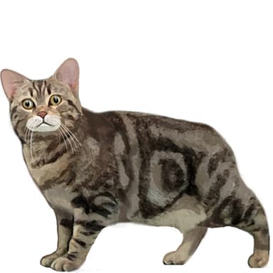 マンクス【単検査】