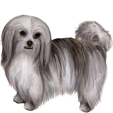 ミーキー【セット検査】