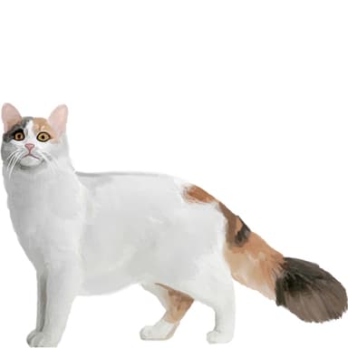 ターキッシュバン【セット検査】