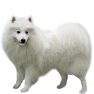 ヴォルピーノ・イタリアーノ【単検査】