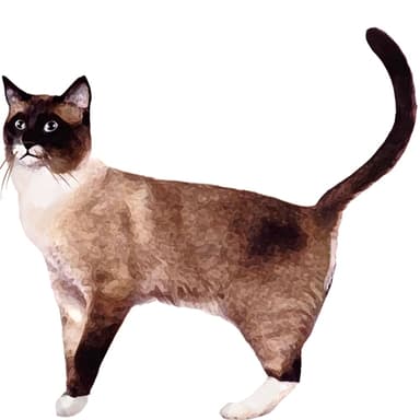 スノーシュー【セット検査】