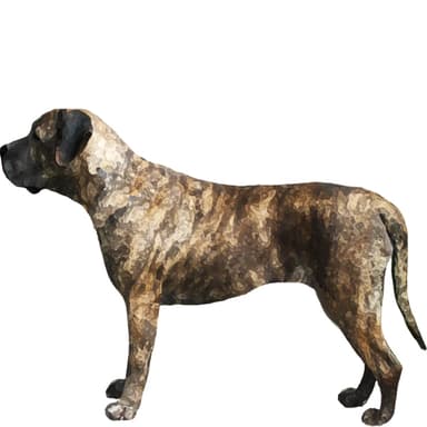 ペロ・デ・プレサ・カナリオ【セット検査】