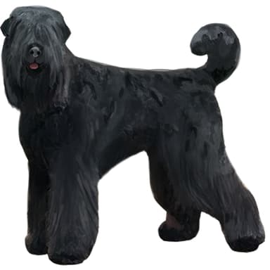 ブラック・ロシアン・テリア【セット検査】