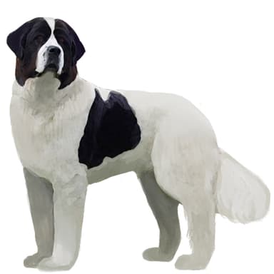 ランドシーア ECT （ヨーロピアンコンチネンタルタイプ）【セット検査】