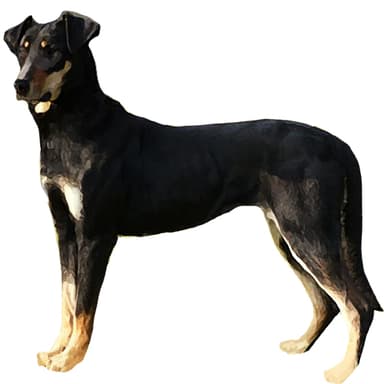 ハンタウェイ【セット検査】