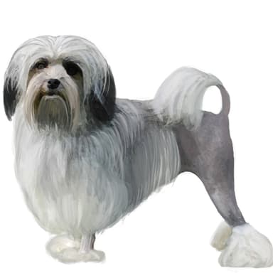 ローシェン【単検査】