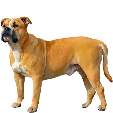 カ・デ・ブー【セット検査】