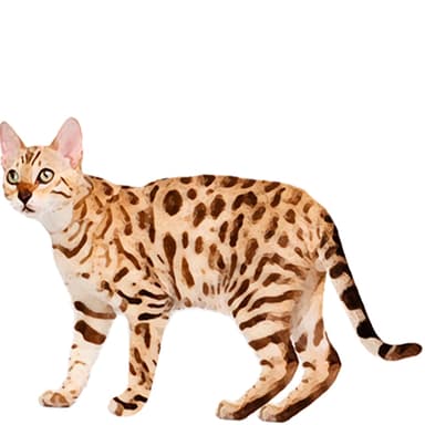 チートー【セット検査】