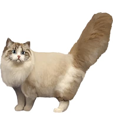 ラガマフィン【セット検査】