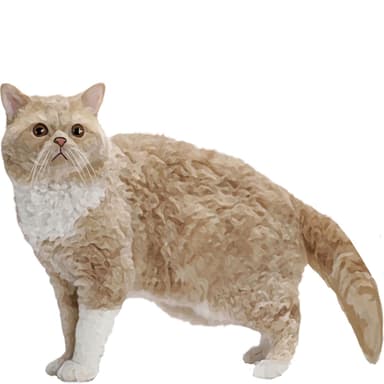 セルカークレックス【セット検査】