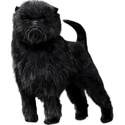 アーフェンピンシャー【単検査】