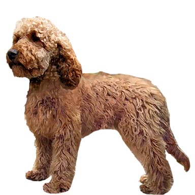 ダブル・ドゥードゥル【セット検査】