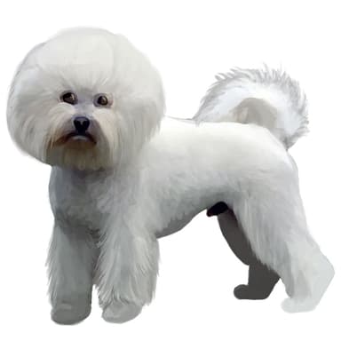 ビションフリーゼ【セット検査】