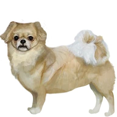 チベリア【セット検査】