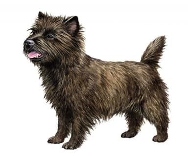 ケアンテリア【セット検査】