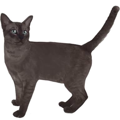 アジアン【セット検査】