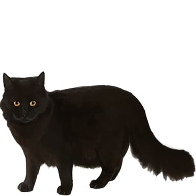 ヨークチョコレート【単検査】