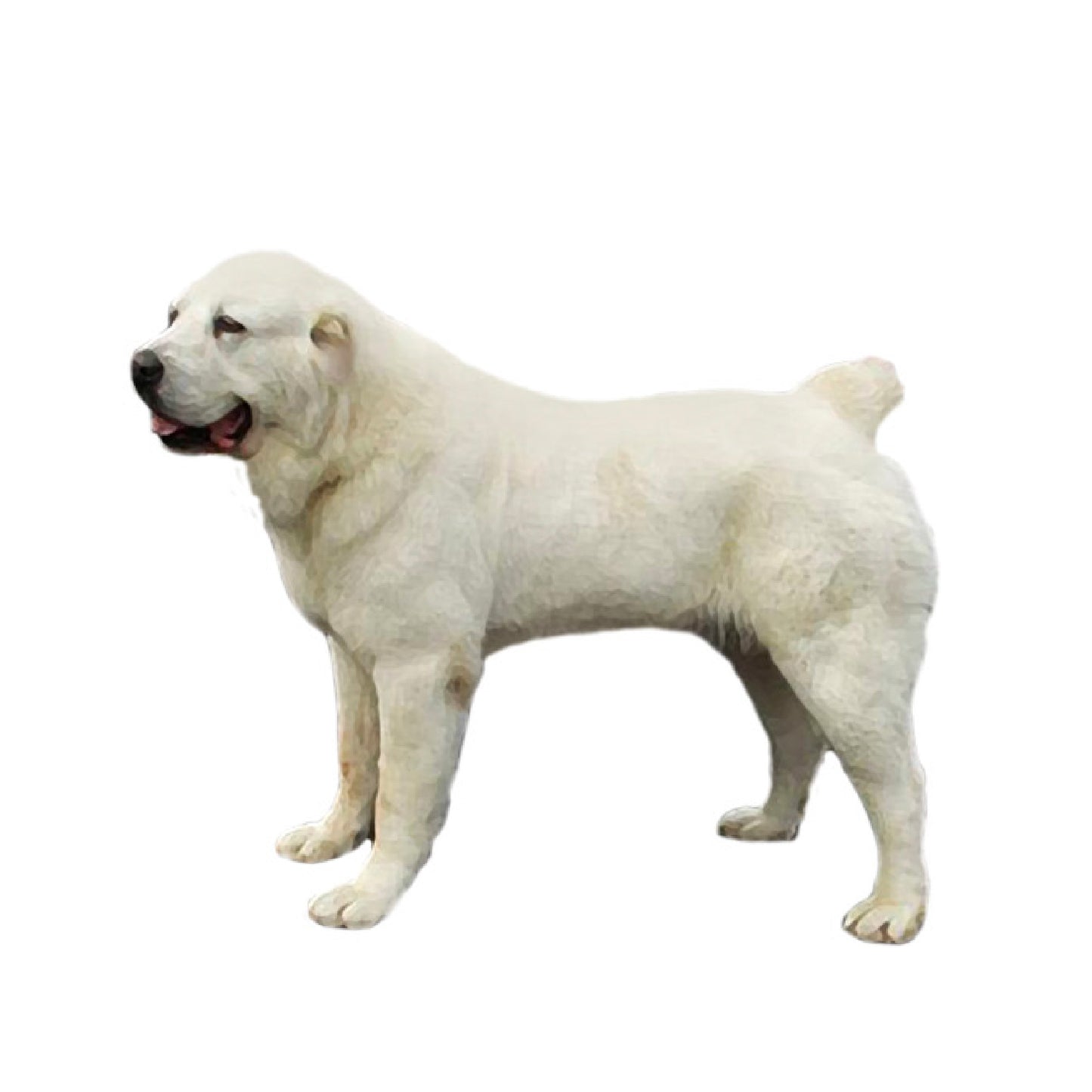 【単検査】アジアンシェパード