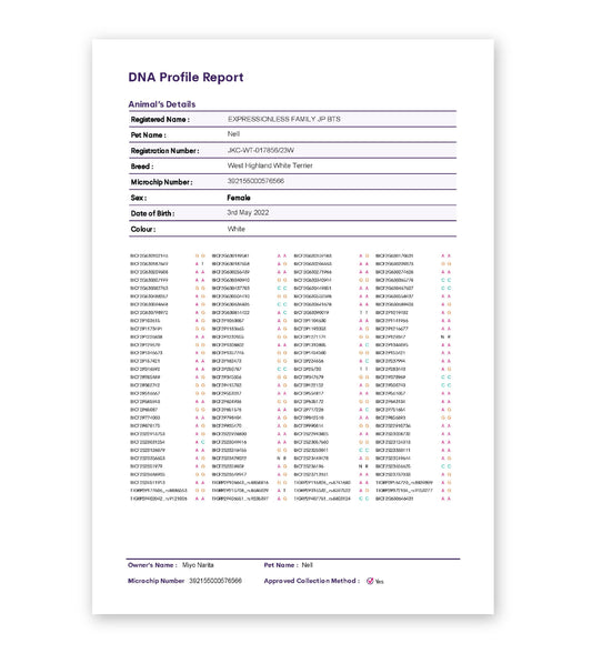 DNAプロファイル