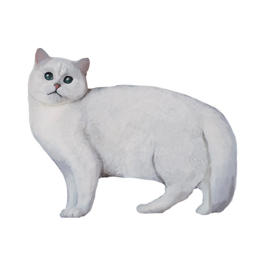 【単検査】チンチラ